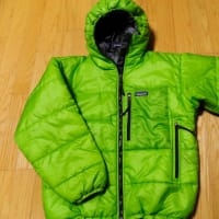 patagonia FREEWHEELER GEAR BAG パタゴニア フリーウィーラー