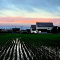 ６月15日日曜日☂️