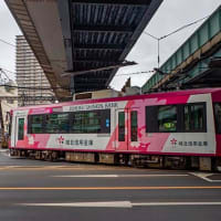 都電荒川線サクラトラム　４