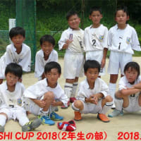 TAISHI CUP 2018