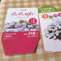 ４月の読書メーター