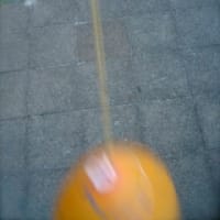 やっと落ち着いてきたよ　気管支炎