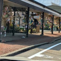 暑いしか言葉が出ない日々