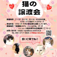 オープン譲渡会のご案内
