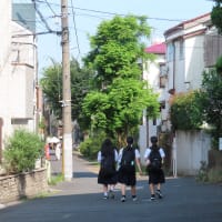 阿佐ヶ谷六本木小路一本目　L'arbre Le première.