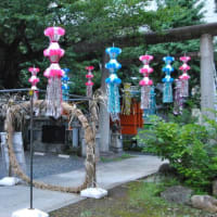 朝の散歩　古いホーロー看板美空ひばり　　　　21