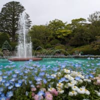 箱根強羅公園