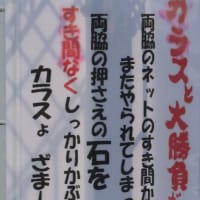 ざまーみろ！