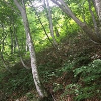 猛暑を避けて・・・上越方面