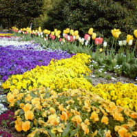 ハーブ園