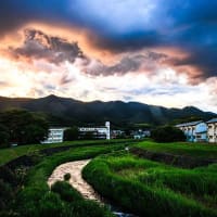 急流が夕日に染まって　（６月）
