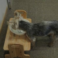 なんて日だ！って言いたくなった水曜日