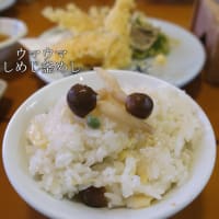 新潟県上越地域の食べログ王ことhide-minamiさんと食事会