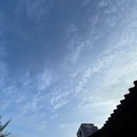 今日の事