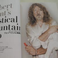 やわらかな前髪のカール憂いがちな眼をかくす～ペパーミント・ブルー・恋のナックルボール・幸せな結末ー大瀧詠一