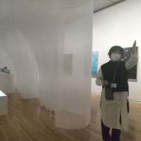 滋賀県立美術館訪問（2/18)　川内倫子展ガイドツアー　レポート