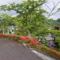 寄居山公園