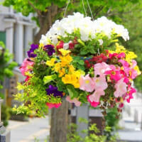 中学吹奏楽部  地域移行の壁で、難題に直面しているようで・・・・・！