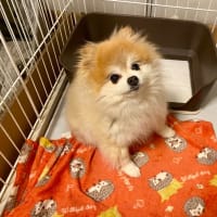 1年ぶり！