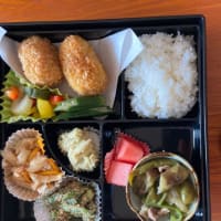 発表会準備と七つ星のお弁当