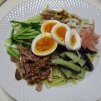 質素に少量-今日も元気----イタリヤ産チーズピザ、雲吞（ワンタン）、鶏手羽焼き、冷やし中華、麻婆豆腐、梅粥、参鶏湯（サムゲタン）