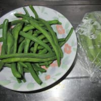 頂き物です