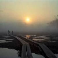 ・