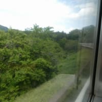 また行ったのかよ！と言われそうで怖い。