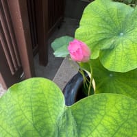 笹飾りの巻