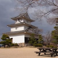 中世のバサラ武士、佐々木道誉ゆかりの丸亀城