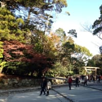 式年遷宮
