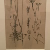 アルフォンス・ミュシャ展