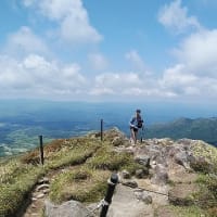 ミヤマキリシマ詣での扇ヶ鼻と岩井川岳