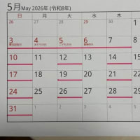 2026年坂根医院の日程表