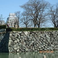 姫路城の見学に行きました。