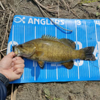 帯状疱疹とバス釣り