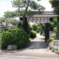 蝉鳴くや 六月村の炎天寺