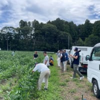 河南地区大豆現地検討会が開催されました！