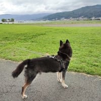 ありがとう