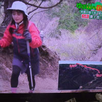 鈴鹿山脈鎌が岳、