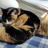 恵みの雨と魔の金曜日(T_T)