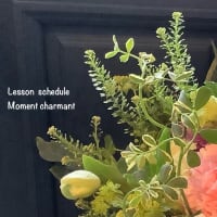 Lesson  schedule ６月