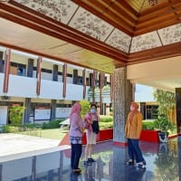 ナポレオン ボナパルト インドネシアsurabayaだより