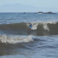 爆風のちあれれ？🌊朝の波