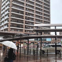 今日の博多３３０　【大雨洪水警報】