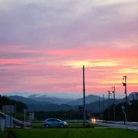 ６月25日水曜日、雨も降るが曇り空