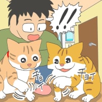 「ルキとサンは野良出身」