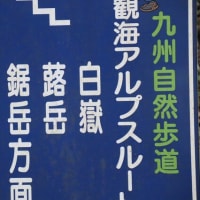 5/18　つわ岳