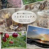 定期便じゃないけれど