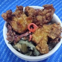 【06/21晩御飯】生命鶏唐揚げ、も少ししたら神カットに行くんだね：D